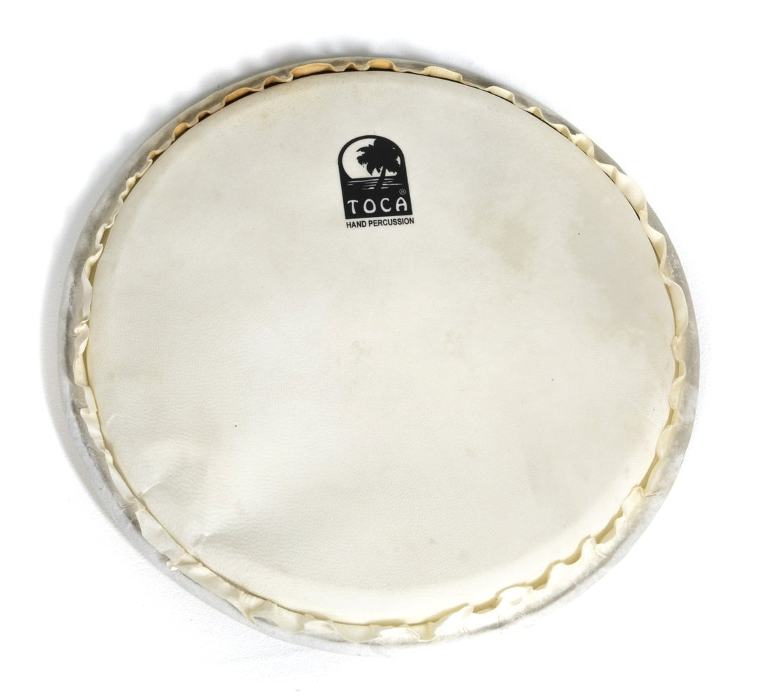 Toca Peau de Djembés Freestyle Rope - 12" peau de chèvre naturelle, corde (GSPFS-12)