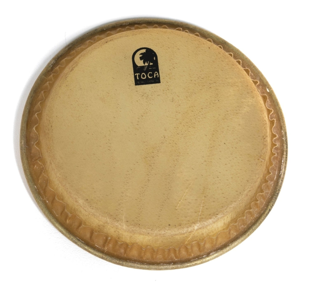 Toca Percussion peau de tambours Batá - 8,5" grande Omele (TP-33009)