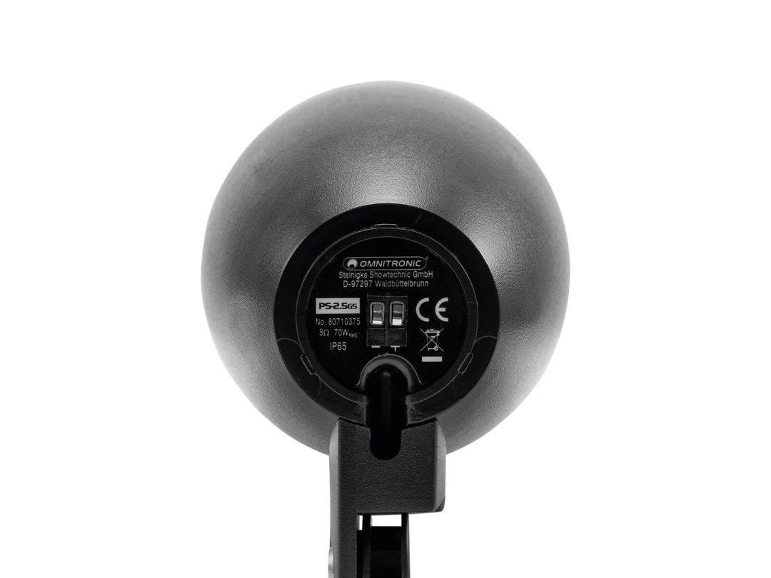 OMNITRONIC PS-2.5GS Enceinte de projecteur, noir, 2x