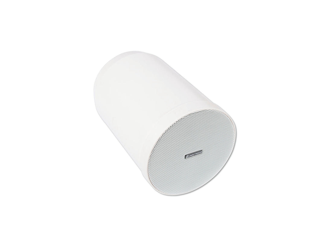 OMNITRONIC WP-15W Enceinte plafond