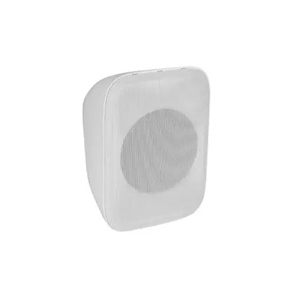 Omnitronic PPS-6T Haut-parleur mural PA