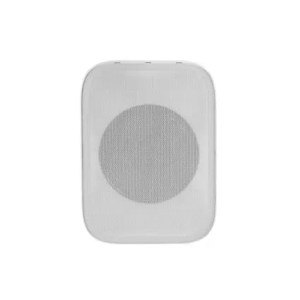 Omnitronic PPS-6T Haut-parleur mural PA