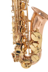 Roy Benson Saxophone alto en Mib Roy Benson AS202G - AS-202G