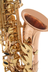 Roy Benson Saxophone alto en Mib Roy Benson AS202G - AS-202G