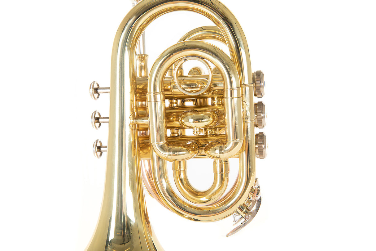 Roy Benson Bb pocket trumpet Roy Benson PT-101 - PT-101