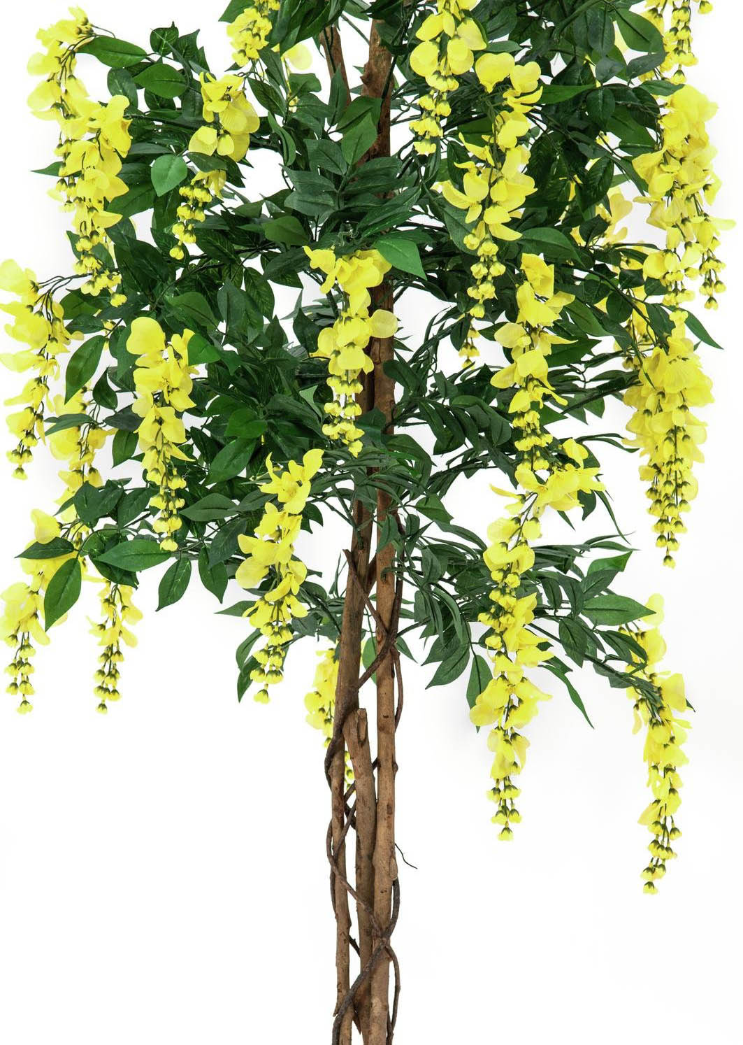 Glycine Artificielle (Jaune, 150cm)