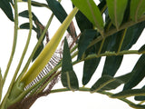 Artificial Parlour palm tree, 150 cm.