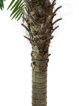 Artificial Phoenix Palm Tree Luxor 150 cm