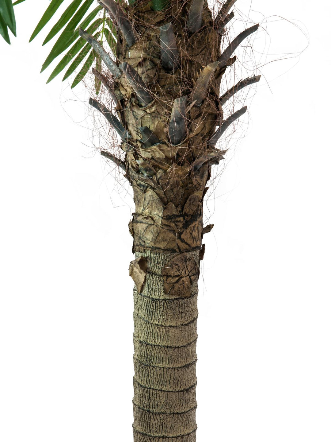 Phoenix Artificiel Palmier Luxor (300cm)