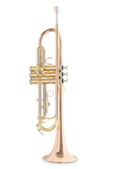Roy Benson Bb-Trumpet Roy Benson TR-202G - TR-202G