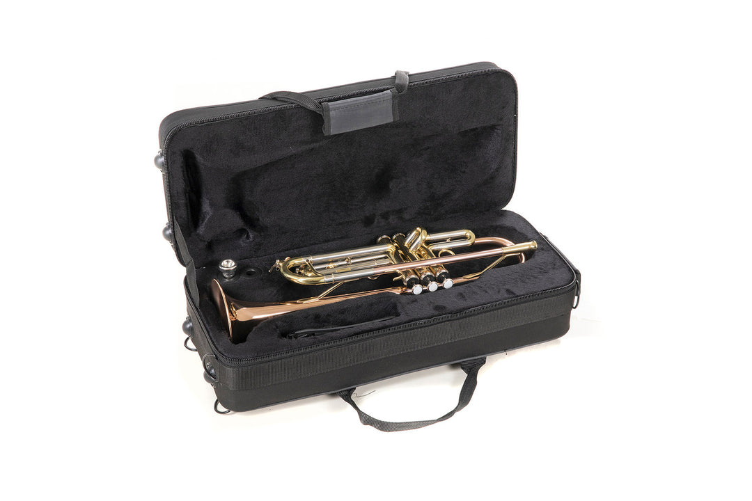 Roy Benson Trompette en Sib Roy Benson TR-202G - TR-202G