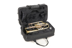 Roy Benson Cornet en Sib Roy Benson CR-202 - CR-202