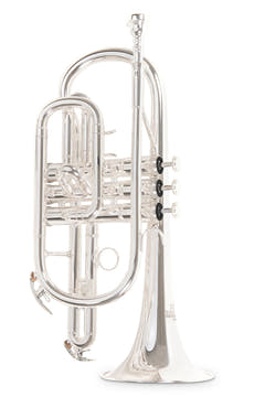 Roy Benson Cornet en Sib Roy Benson CR-202S - CR-202S