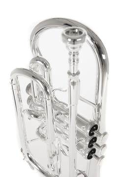 Roy Benson Cornet en Sib Roy Benson CR-202S - CR-202S