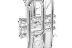 Roy Benson Cornet en Sib Roy Benson CR-202S - CR-202S
