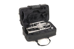 Roy Benson Cornet en Sib Roy Benson CR-202S - CR-202S
