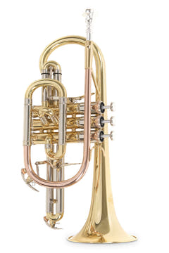 Roy Benson Cornet en Sib Roy Benson CR-302 - CR-302
