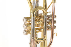 Roy Benson Cornet en Sib Roy Benson CR-302 - CR-302