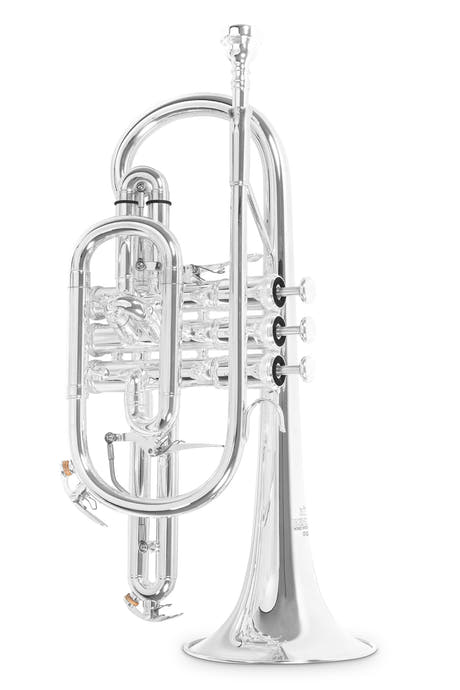 Cornet en Sib Roy Benson CR-302S, argenté