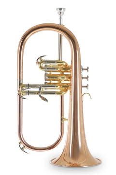 Roy Benson Bugle Bb Roy Benson FH-302G - FH-302G