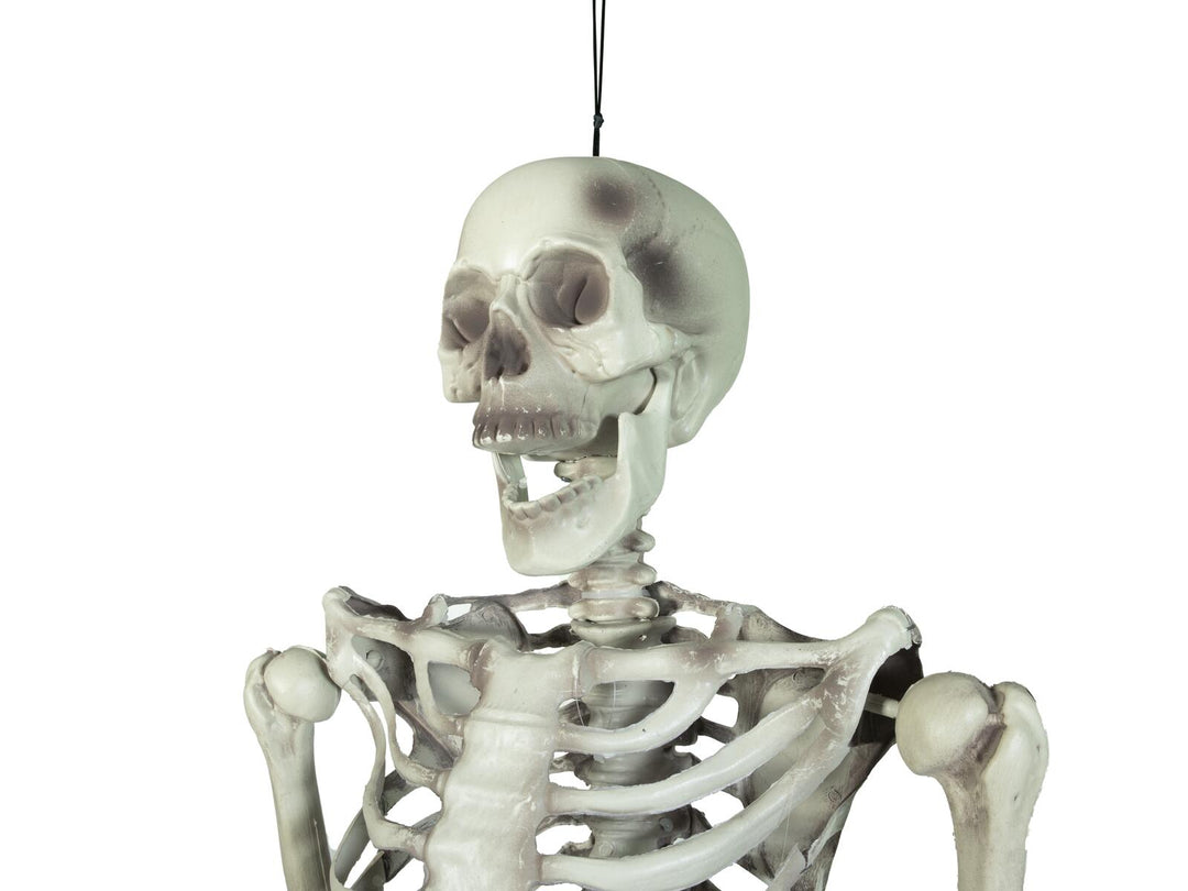 Squelette d’Halloween, suspendu, blanc, 150 cm