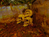 Crânes d’Halloween noirs et blancs, 3 pièces