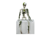 Halloween-skelet med mos, 40 cm
