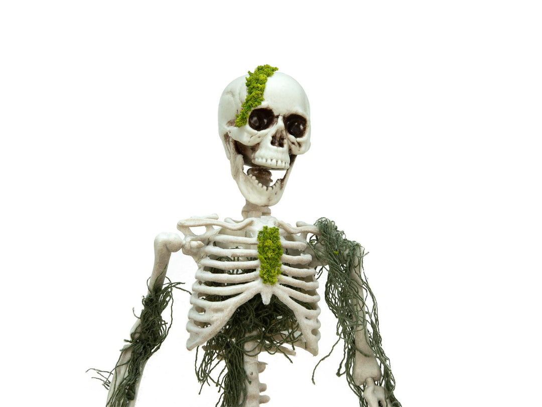 Halloween-skelet med mos, 40 cm