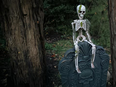 Halloween-skelet med mos, 40 cm