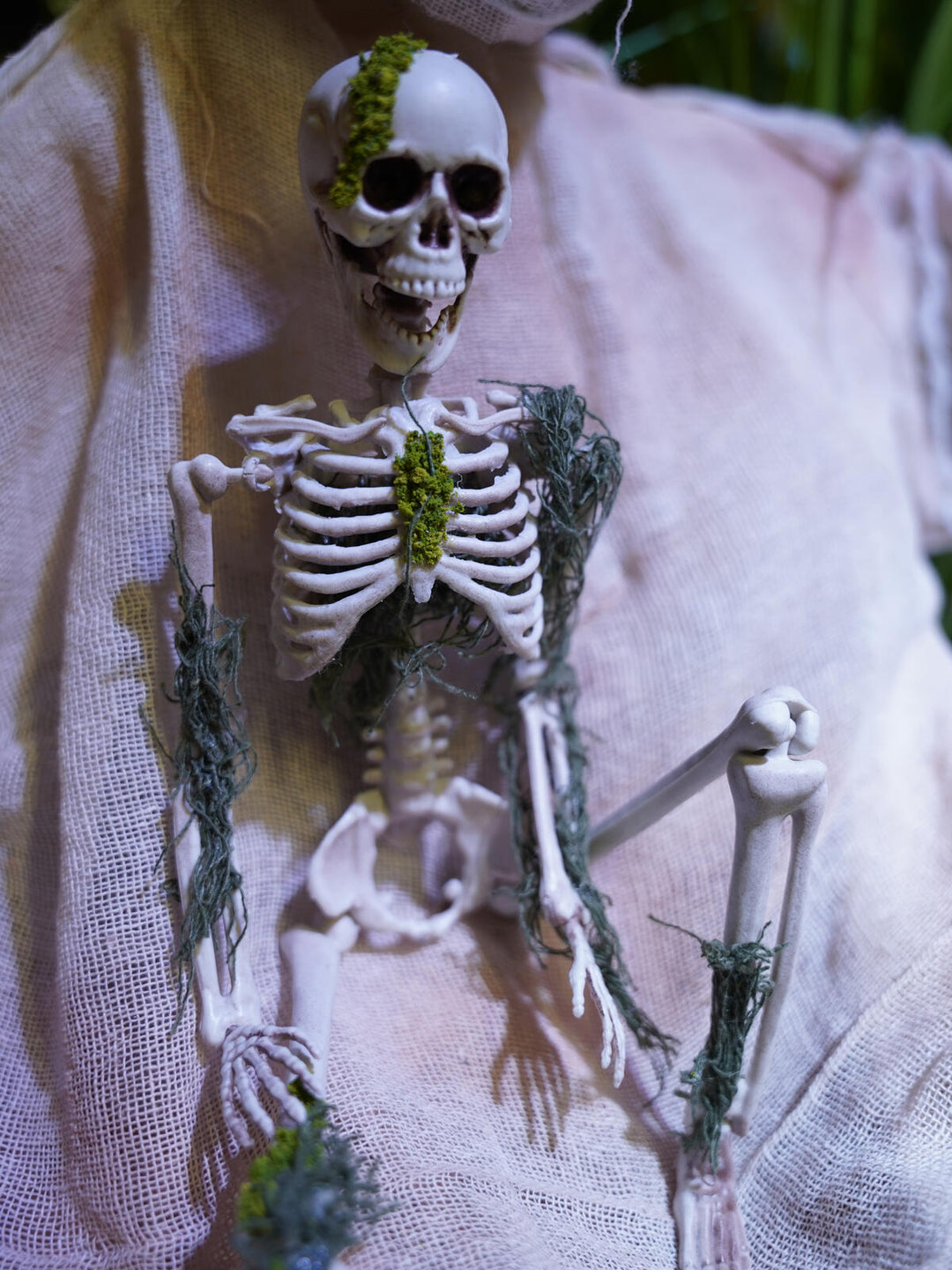 Halloween-skelet med mos, 40 cm