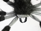 Halloween nedfirende edderkop, animeret, 60 cm