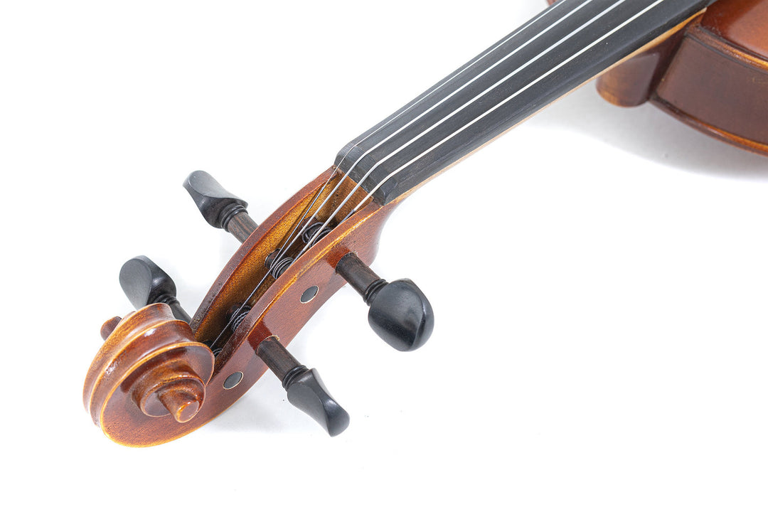 GEWA Violons Allegro - 3/4 (Prêt à jouer incl. étui moulé, sans archet, avec cordes Larsen Aurora, sécurisé pour le transport)