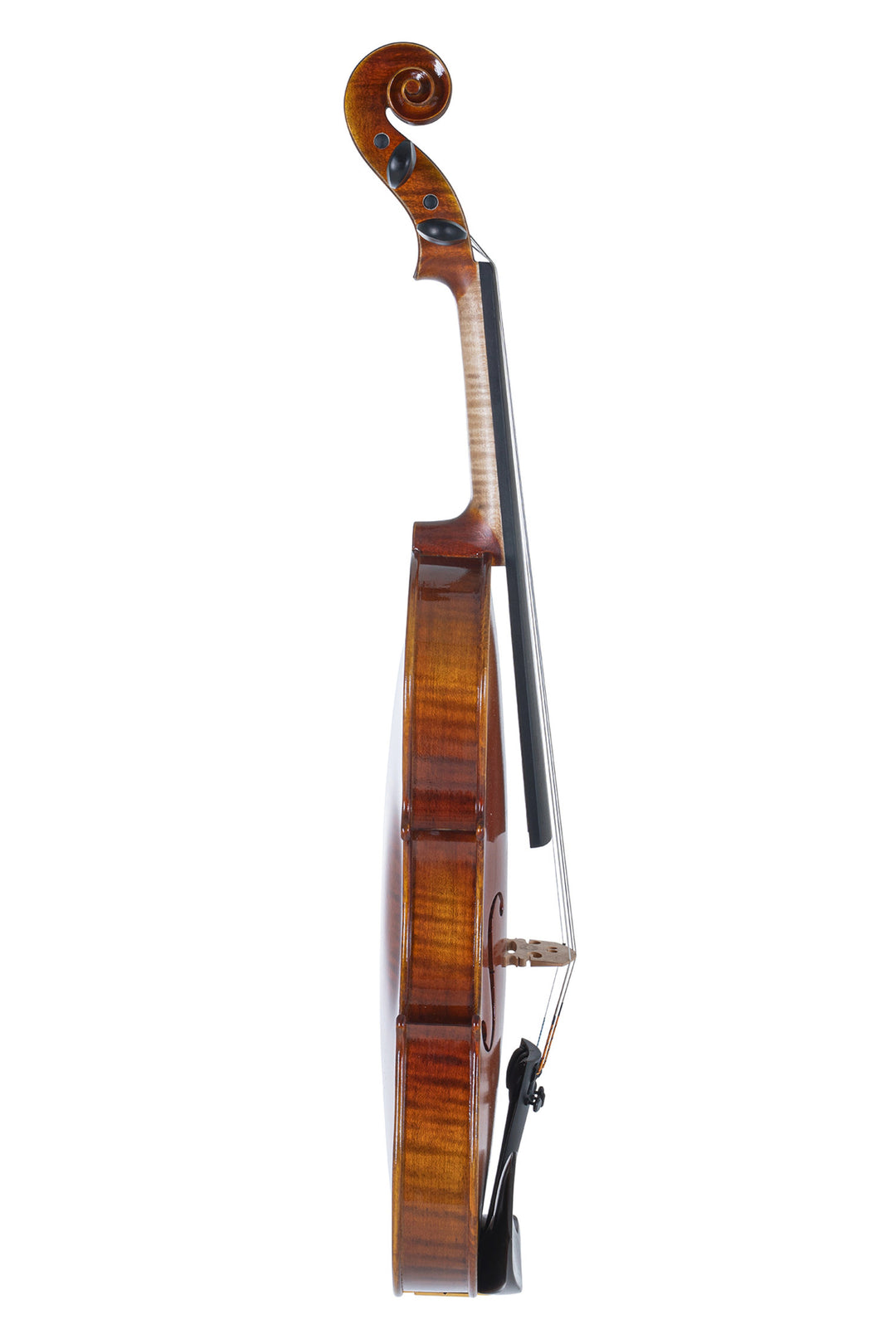 GEWA Violons Maestro 1 - 4/4 (Prêt à jouer, étui moulé inclus, archet en Massaranduba et cordes Il Cannone)