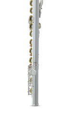 Roy Benson Flute Roy Benson FL-402E - FL-402E