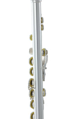 Roy Benson Flute Roy Benson FL-402E - FL-402E