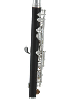 Roy Benson Flûte piccolo Roy Benson PC-502 - PC-502
