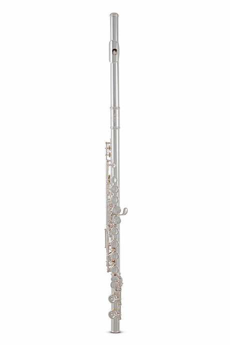Roy Benson Flute Roy Benson FL-602E - FL-602E