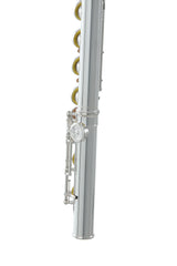 Roy Benson Flute Roy Benson FL-602E - FL-602E