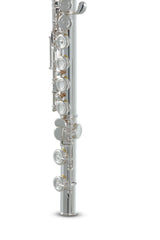 Roy Benson Flute Roy Benson FL-602E - FL-602E