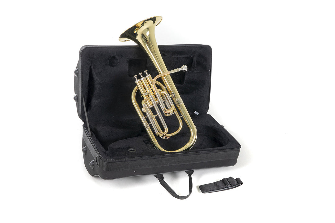 Roy Benson Cor alto en Mib Roy Benson AH-301 - AH-301