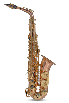 Roy Benson Saxophone alto en Mib Roy Benson AS202G - AS-202G