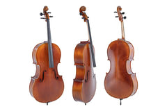 GEWA Allegro violoncelle 1/2, non monté, avec étui