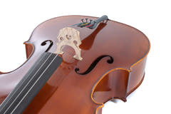 GEWA Allegro violoncelle 1/4, réglé