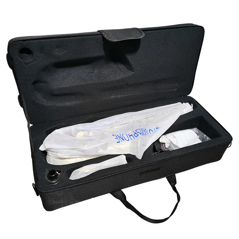 V-TONE AS 100 saxophone alto avec set de housse