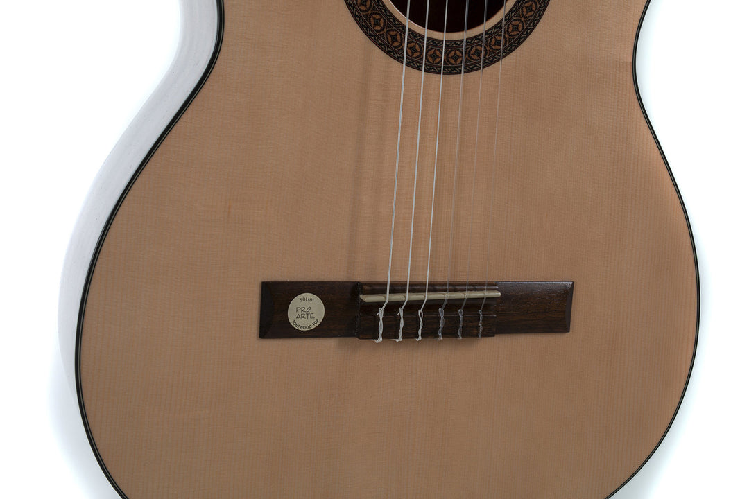 GEWA Guitares classique Pro Arte GC 210 A - taille 4/4