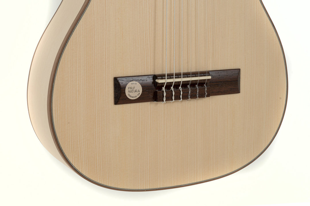 Guitares classiques GEWA Pro Natura Silver 1/2 size - 1/2 size
