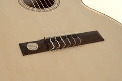 Guitares classiques GEWA Pro Natura Silver 1/2 size - 1/2 size
