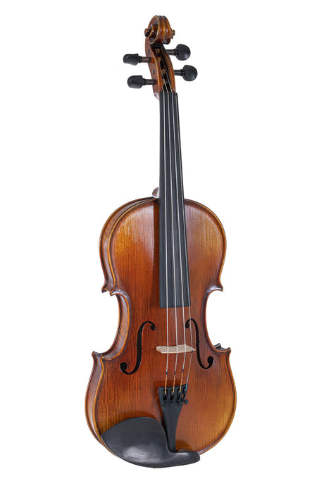 GEWA Violons Maestro 2 - 4/4 (Prêt à jouer, avec case profilé, sans archet, avec cordes Il Cannone, sécurisé pour le transport)