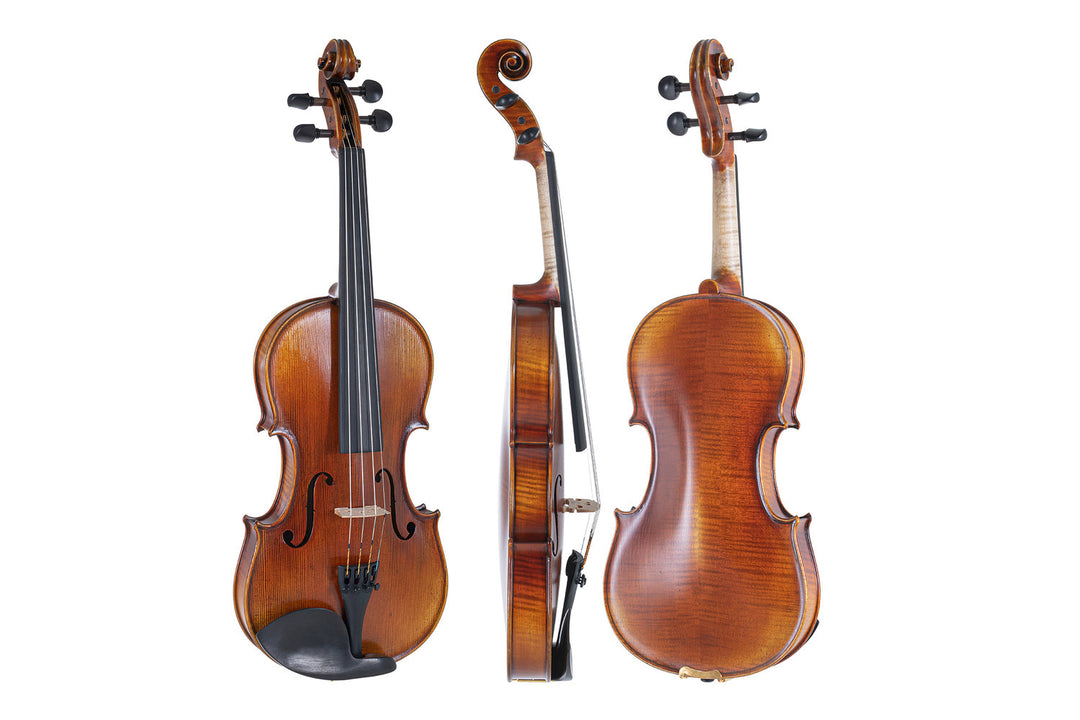 GEWA Violons Maestro 2 - 4/4 (Prêt à jouer, étui pour violon GEWA Bio, GEWA Carbon Bow Advanced et cordes Il Cannone)