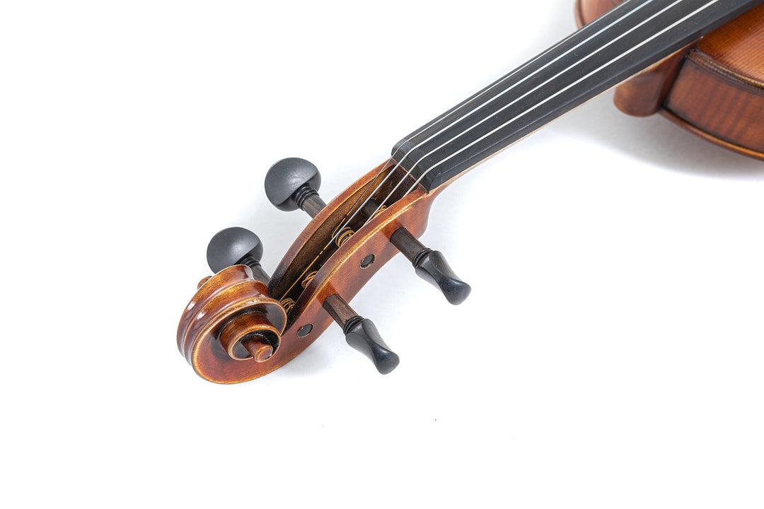 GEWA Violons Maestro 2 - 1/2 (Prêt à jouer, avec case profilé, archet en Massaranduba et cordes Larsen Aurora, sécurisé pour le transport)